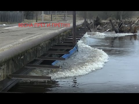 Новости паводка. /Мост/Сруб/Мастерская/Сарайка/