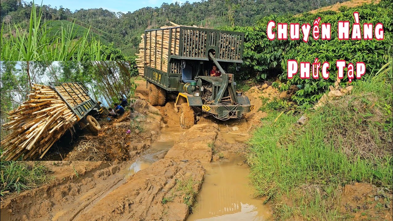 Lầy đến mức không thể lầy hơn | xe độ chở gỗ vật vã 4 tiếng mới thoát