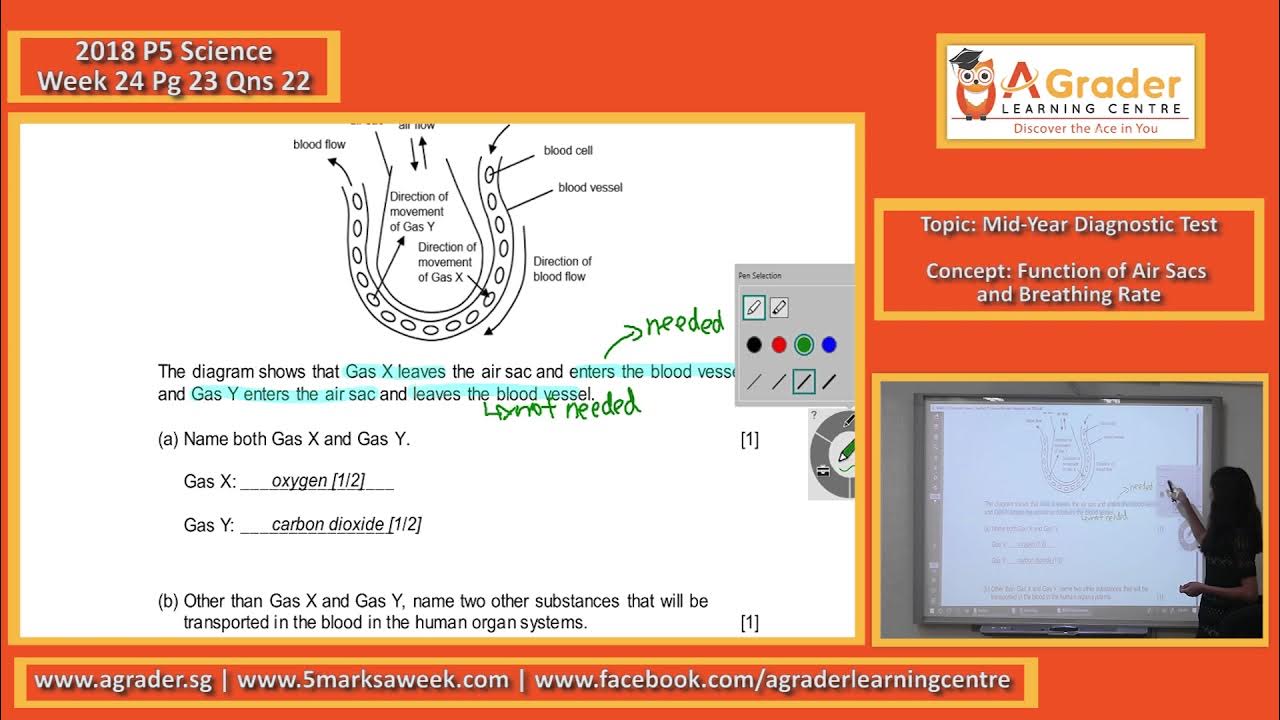 Английский язык 3 класс комарова тесты. Комарова английский 3 класс контрольная. Тест mid test modules 1-5. Mid test modules 1-4 ответы. Тест 2 4 класс английский язык комарова.