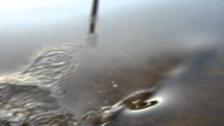 Gädda vid strand kanten Letälven Degerfors WP 20140602 20 22 38 Pro