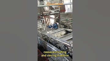 Cassava starch processing machine cassava crushing and sieving machine