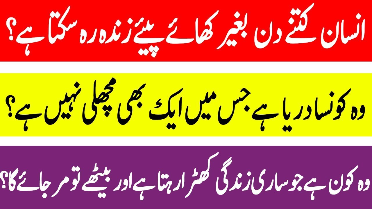 Brain teasers challengingUrdu paheliyan,riddles with