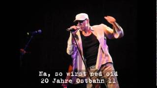 Video thumbnail of "Kurt Ostbahn & die Chefpartie-Kombo: Na, so wirst ned oid (Audio)"