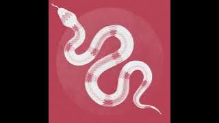 Trentz - Venom (Original Mix)