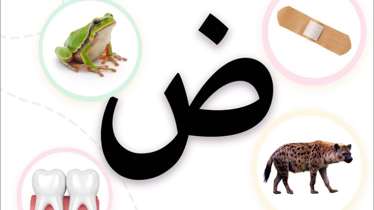 حروف ابجد أ ب ج د حرف الضاد (ض) هيّا نتعلم الحروف يا أطفال - YouTube