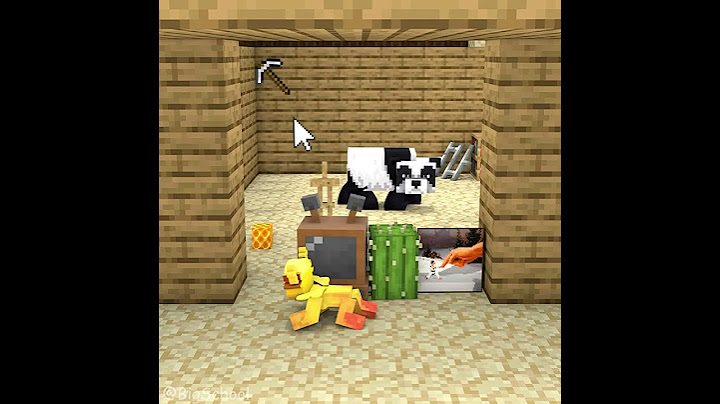 Choose the item that can cover for Penny to escape the bear and get back the hive! 👍 | Ethena