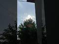 Green dot in sunlight #shorts