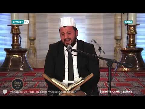 Tevhid Bahri - Mustafa Alphayta