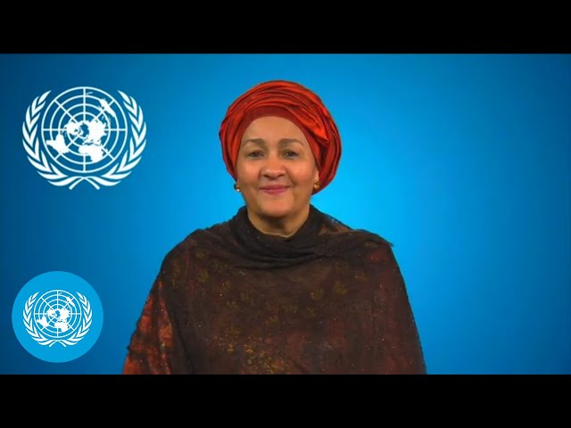 Plastic Pollution: Amina J. Mohammed