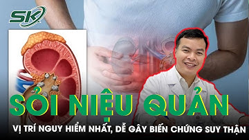 Sỏi Nằm Ở Niệu Quản Vị Trí Nguy Hiểm Nhất, Dễ Gây Biến Chứng Suy Thận | SKĐS