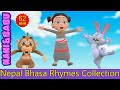 Lapa thyaay wa  baby dance songs  tali bajou  newari rhymes collection for kids