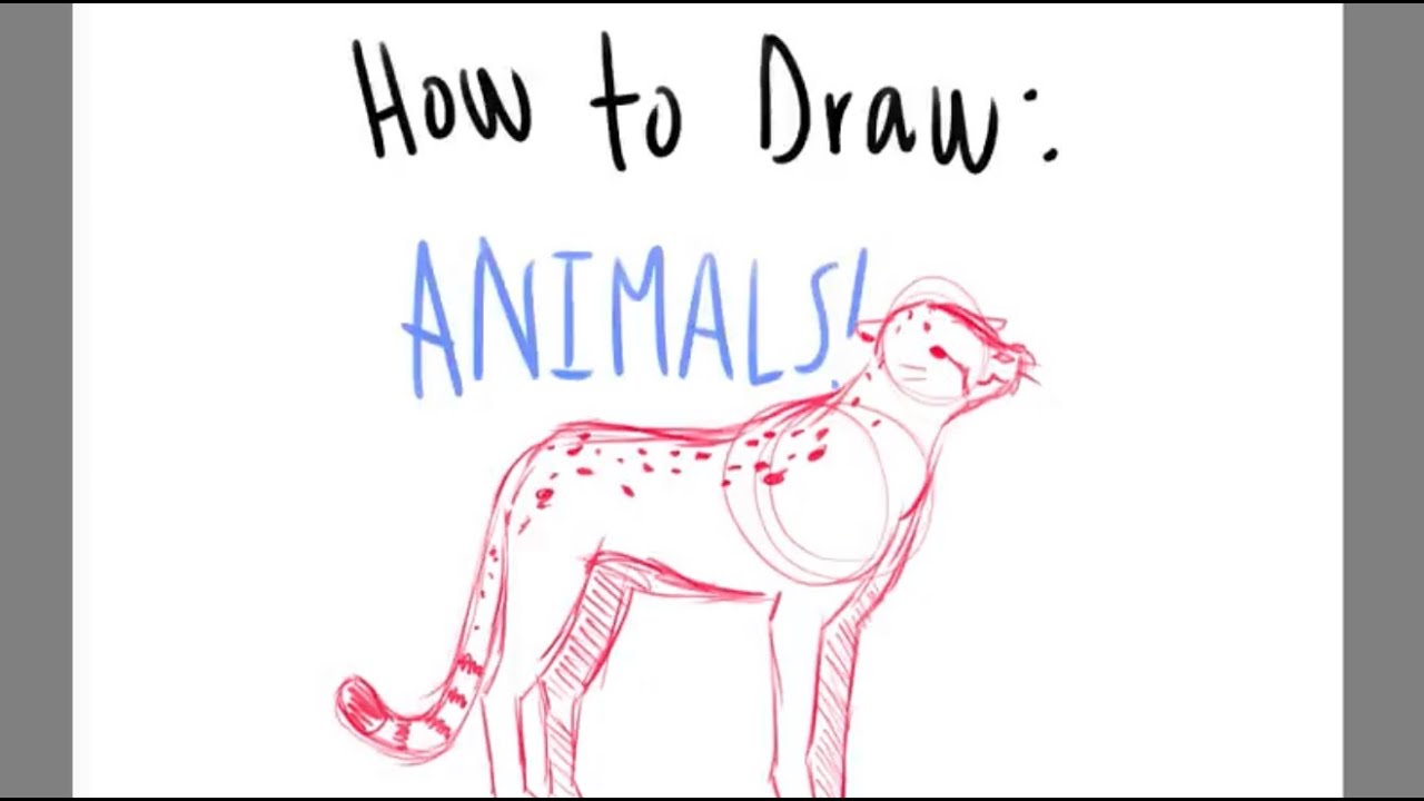 Top How 2 Draw Animals in the world Don t miss out 