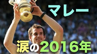 【テニス】悲願の2016年をもう1度。アンディ・マレー、もう、涙が止まらないよ・・・【マレー】 screenshot 2