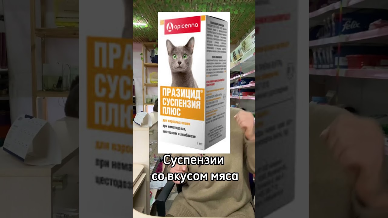 Дегельминтизация кошек и собак. Часть 4. Советы от Ветеринара. 