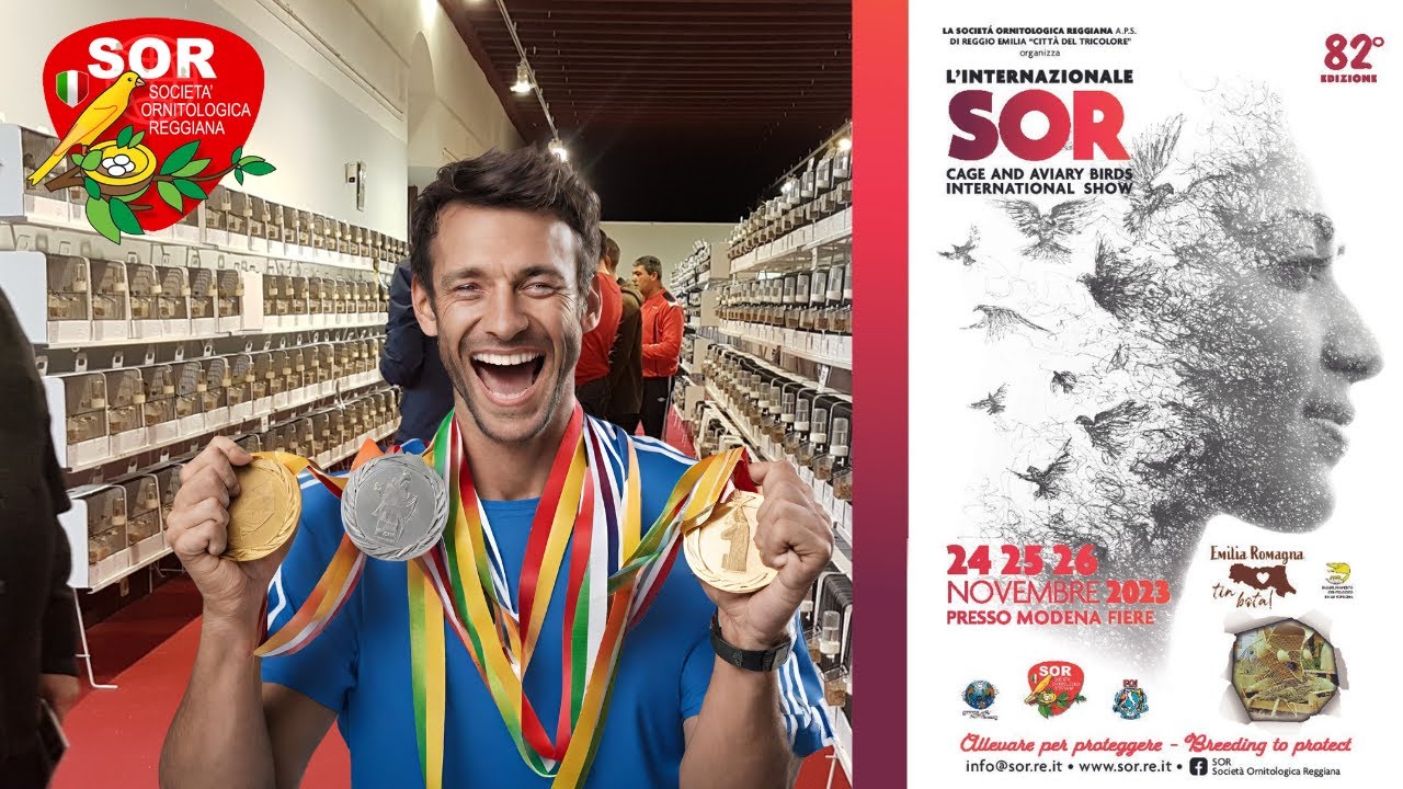 4-medallas-en-el-mejor-concurso-internacional-italia-youtube