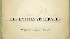 Les ben shen /Entités viscérales - Webinar animé par Jean Motte