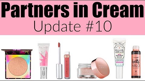 Project Pan Update #10 | Partners in Cream | Group Collab