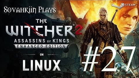 Sovahkiin Plays on Linux: Witcher 2 - Episode 27