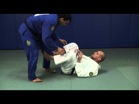 Xande Ribeiro BJJ Instructional Blu-Ray / DVD - GU...