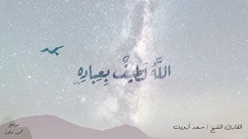 اللَّهُ لَطِيفٌ بِعِبَادِهِ قرآن كريم بصوت سعد أزويت تلاوة جميلة جدا 🌌🎑 🤍