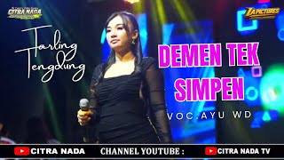 DEMEN TAK SIMPEN ~ TENGDUNG // CITRA NADA LIVE PESTA LAUT MUARAREJA (BRUG ABANG) 2025 - KOTA TEGAL