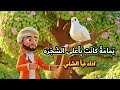 يمامه كانت باعلي الشجره اليمامه والصياد نبأ الشلي