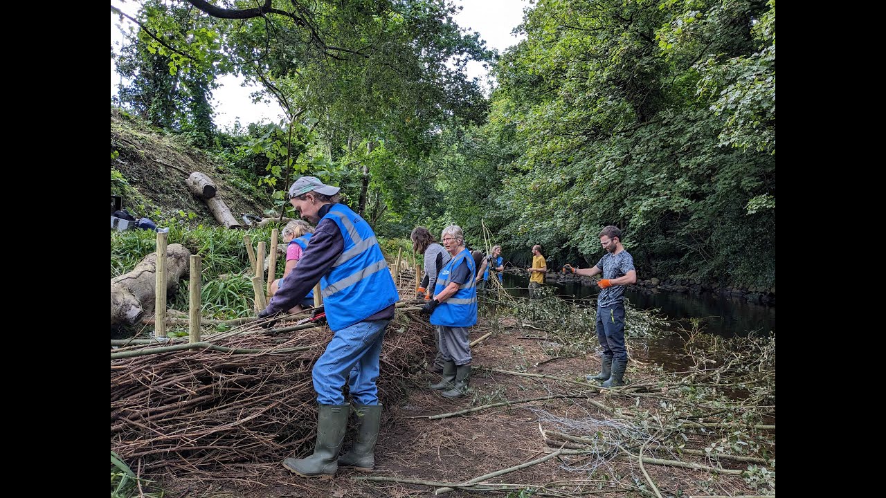Mill River Conservation Group and Inishowen Rivers Trust building a river revetment.