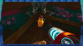 ГОНКИ С БЛЁБАМИ И...... ТАК СТОП ЭТО ЗОЛОТИСТЫЙ ИМБИРЬ ??? SLIME RANCHER [11]