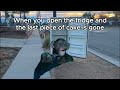 Oh No Monkey Memes Compilation Bad Ape OH NO Meme Oh No Monkey Memes Compilation Bad Ape OH NO Meme