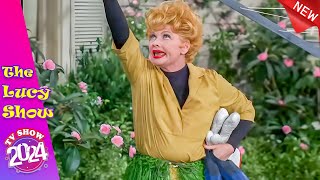 The Lucy Show 2024 ❣️Lucy Gets the Bird❣️Best Comedy TV Series 2024