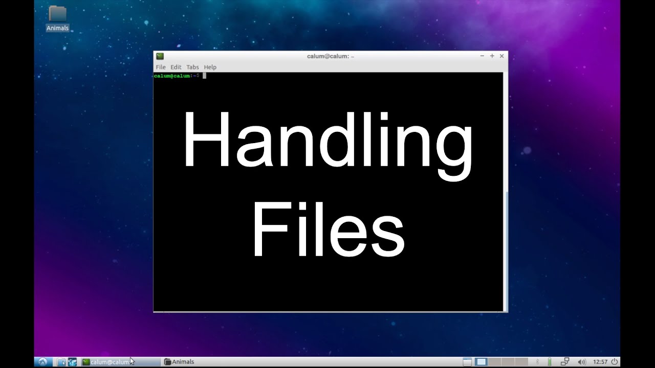 Command Line Handling Files YouTube