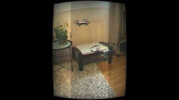 Swarm Normal Tello and Tello Edu