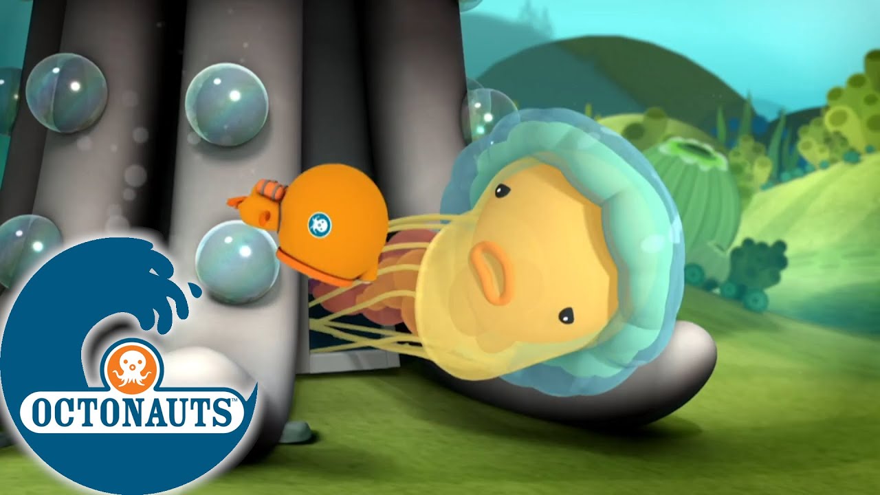  Octonauts  Tous attach s Dessins  anim s pour enfants 