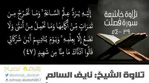 #اجمل_التلاوات - #تلاوة خاشعة تدبر الايات - القارئ الشيخ نايف السالم سورة فصلت