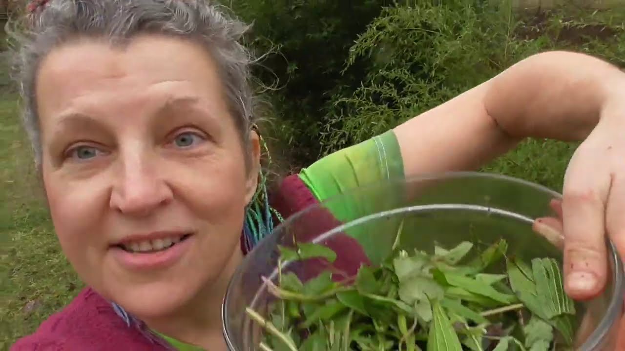 SURVIVAL POLÉVKA co dům dal - se zimními bylinkami