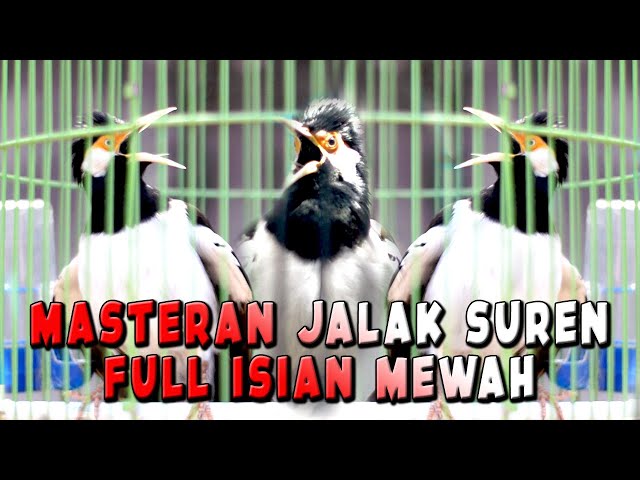 MASTERAN JALAK SUREN FULL ISIAN MEWAH CEPAT DITIRU class=