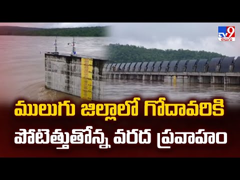 Telangana : ములుగు జిల్లాలో గోదావరికి పోటెత్తుతోన్న వరద ప్రవాహం - TV9 - TV9