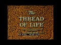 “ THE THREAD OF LIFE &quot; 1960 HUMAN &amp; PLANT GENETICS, CHROMOSOMES &amp; DNA DOCUMENTARY  PART 1 91954