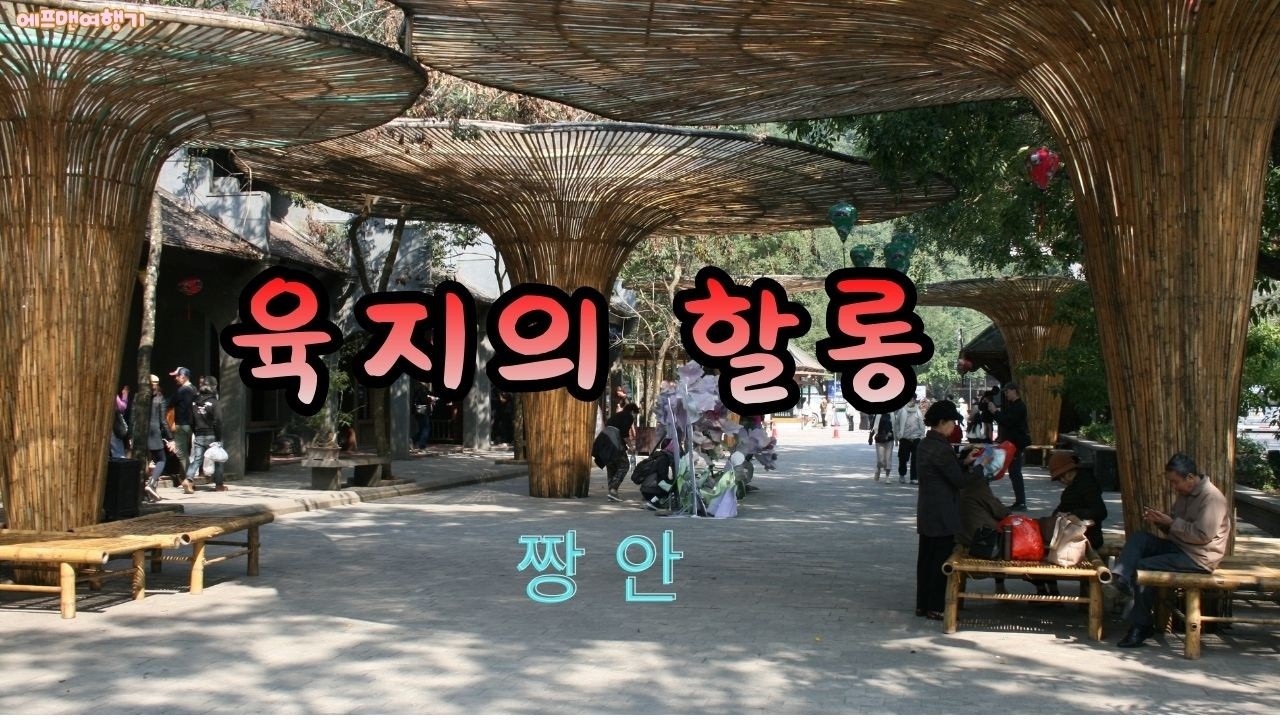 짱안,닝빙.육지의 할롱,자연의 숨결