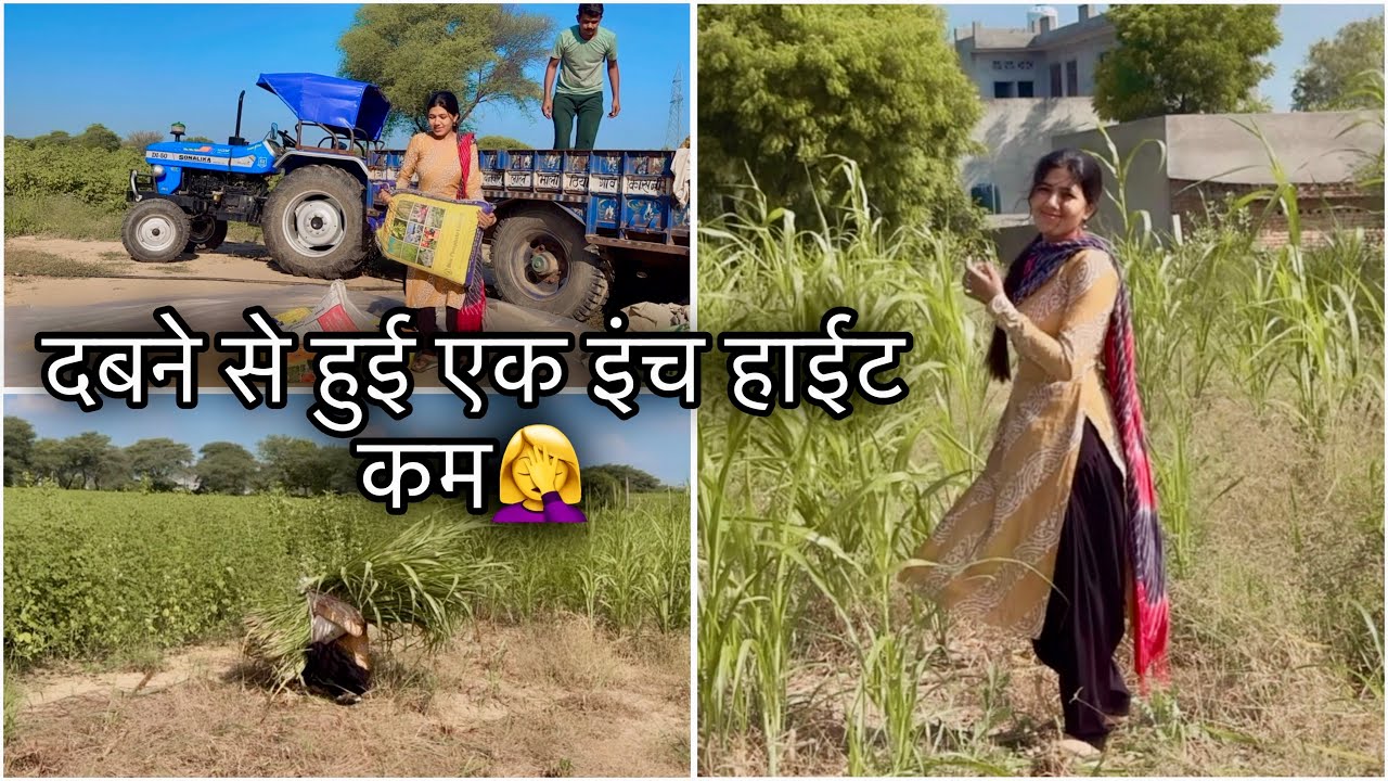 40kg का कट्टा उठा लिया और घास के नीचे दब गई🤦‍♀️ || Manvi Singh Vlogs || 
