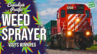 Canadian Pacific's WEED SPRAYER Train in Central Manitoba!