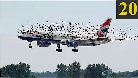 20 Moments You Wouldn’t Believe If Not Filmed