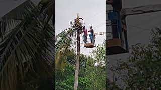 potong pokok kelapa @satupanlumajangchannel6234 #videoshorts