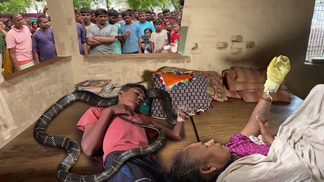 भारत का सबसे जहरीला सांप बिस्तर पर चढ़कर काट लिया रात के अंधेरे में, फिर कैसे क्या हुआ!😱 Snake bite