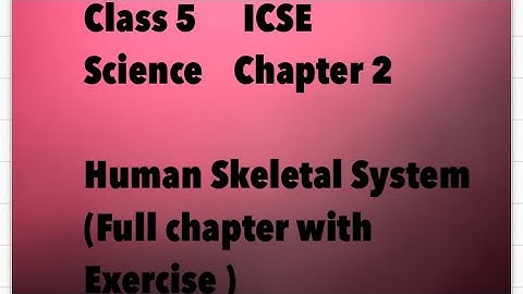 Chapter 2, Human Skeletal System, Science, class5
