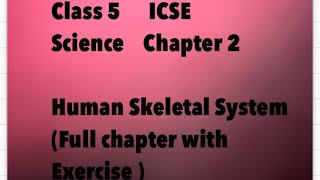 Chapter 2, Human Skeletal System, Science, class5