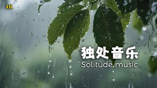 沉浸於大自然的懷抱，樹葉上滴落的雨聲與鋼琴的輕柔交織，放鬆身心。| 清晨音樂 | 睡眠音樂 | 獨處音樂 | 輕音樂 | 放鬆音樂 | 鋼琴音樂 | 純音樂 | Light Music |