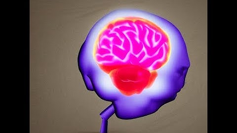 EduMind Interactive Demo Video