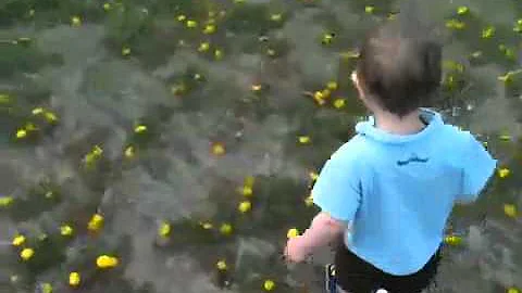 Running Down the Hill