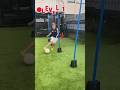 Wie oft trainiert ihr? #sherman #football #fussball #sports #soccer #vlog #sports #training #baller